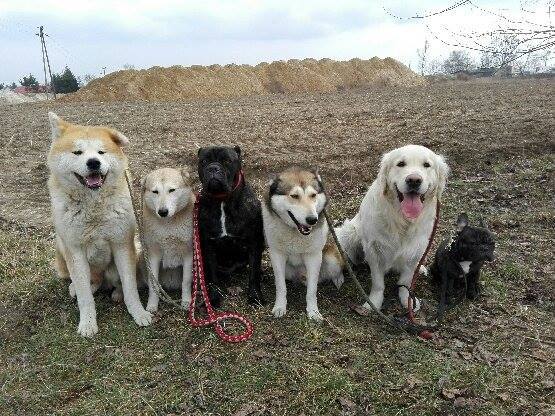 Nera i jej socjalizacja w Pana Rafała 